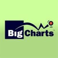 BigCharts user reviews