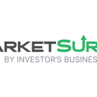 Market Surge by IBD user reviews