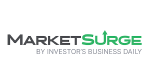 Market Surge by IBD user reviews